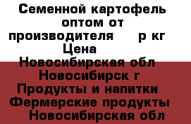 Семенной картофель оптом от производителя 7,5 р/кг. › Цена ­ 7 - Новосибирская обл., Новосибирск г. Продукты и напитки » Фермерские продукты   . Новосибирская обл.